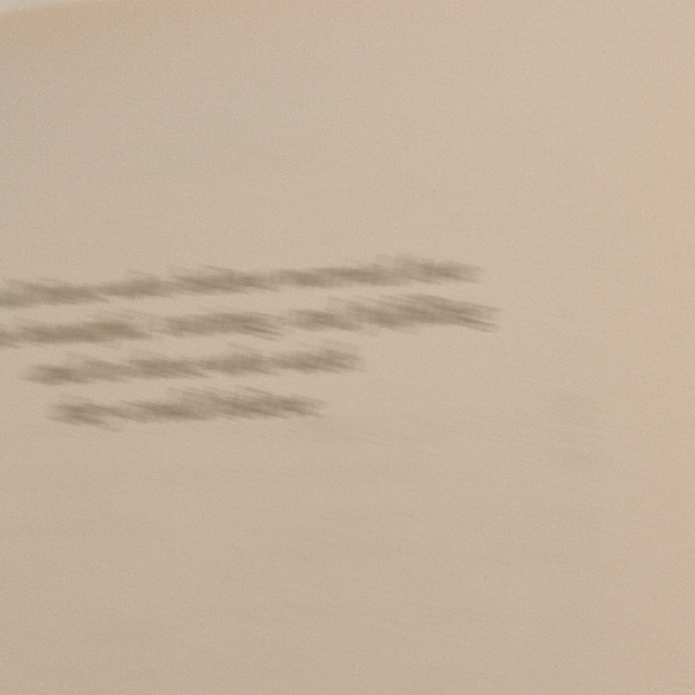 The Act of Marriage Book - Picture 4 of 5